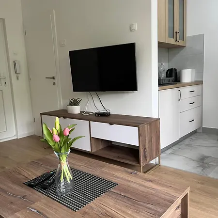 Apartament Andrijanic