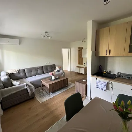 Apartment Andrijanic *